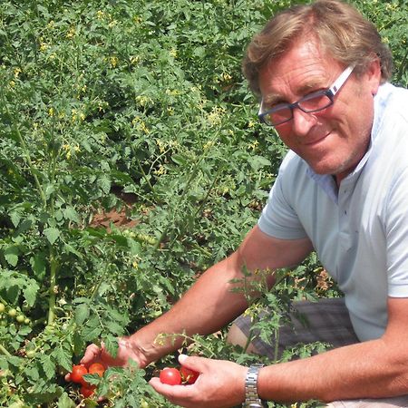 Azienda Agrituristica Baglio Carta バレストラーテ エクステリア 写真